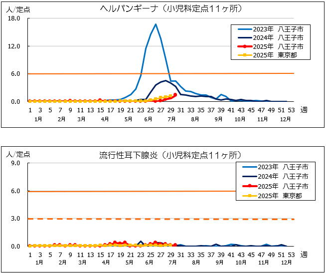 第30週ヘルパン、耳下腺