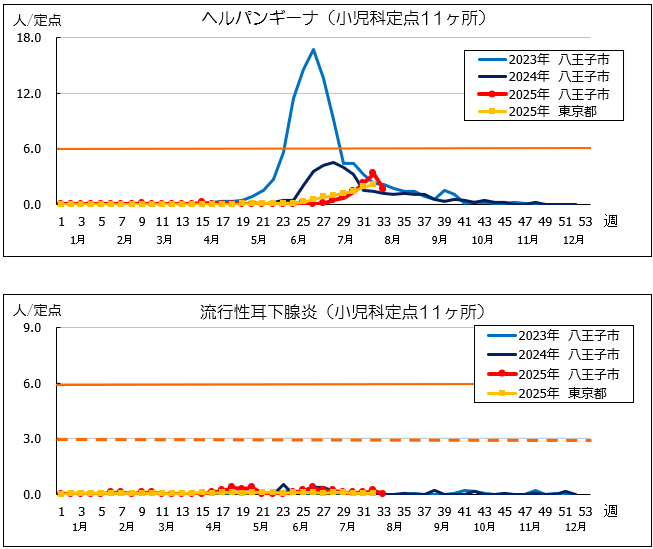第33週ヘルパン、耳下腺