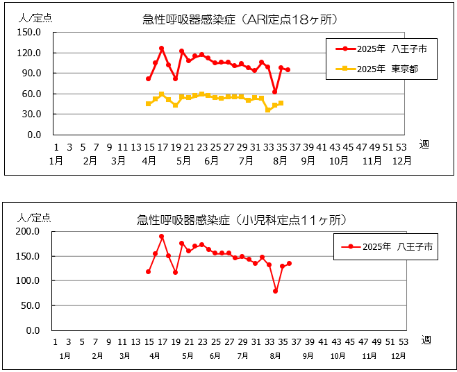 第36週ARI