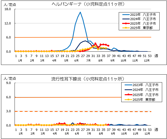 第37週ヘルパン、耳下腺