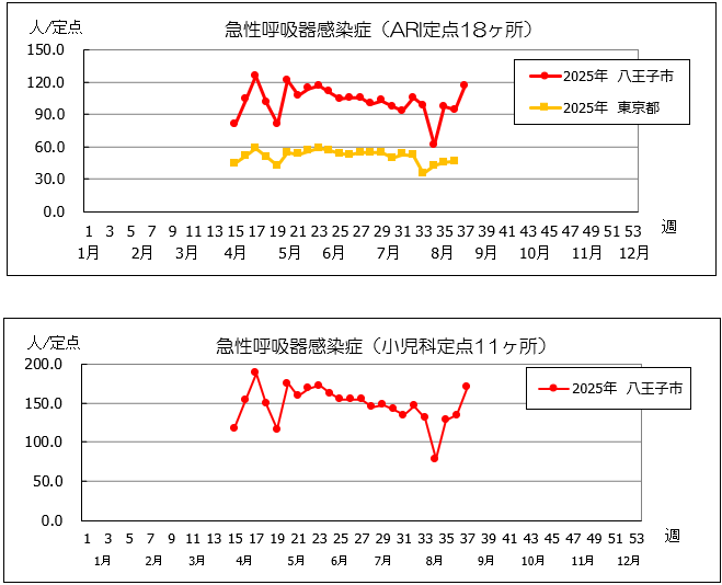 第37週ari