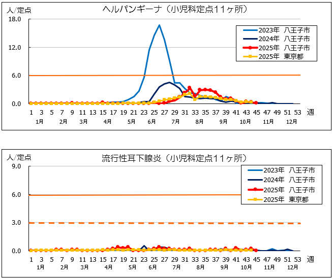 第45週ヘルパン、耳下腺