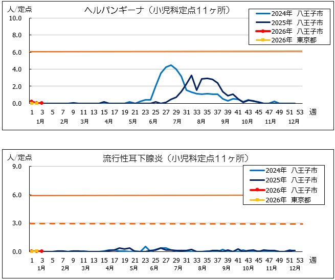 第3週ヘルパン、耳下腺