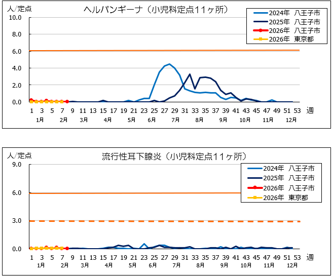 第8週ヘルパン、耳下腺