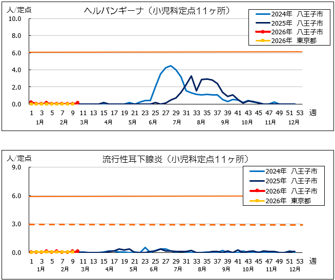 第10週ヘルパン、耳下腺