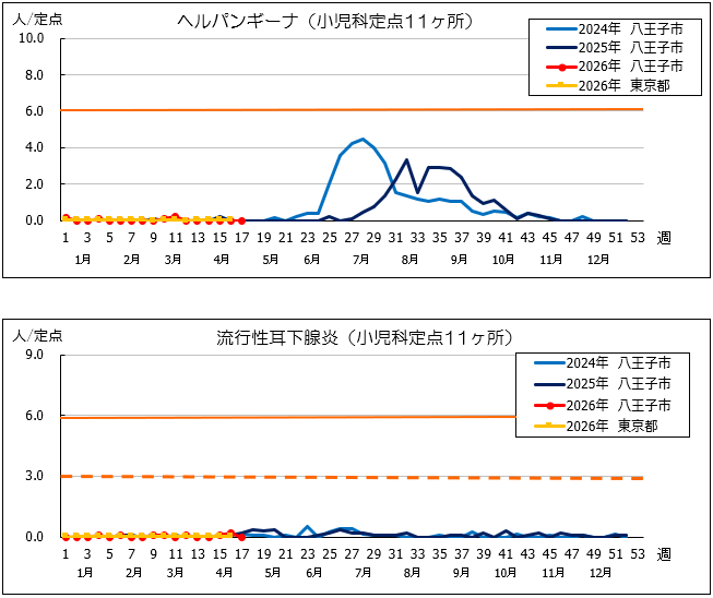 第17週ヘルパン、耳下腺