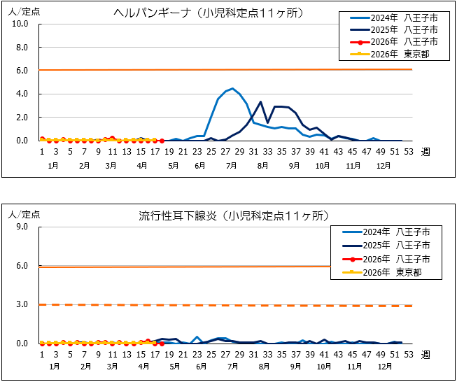 第18週ヘルパン、耳下腺