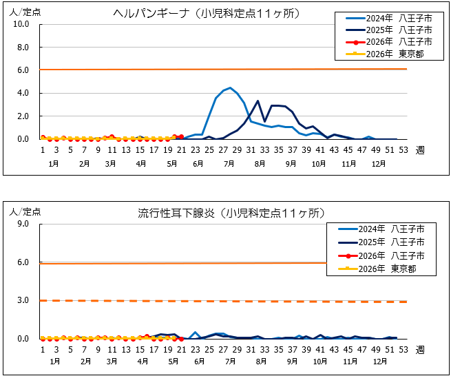 第21週ヘルパン、耳下腺