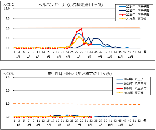 第33週ヘルパン、耳下腺