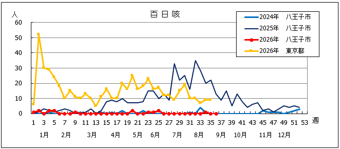 第36週 百日咳グラフ
