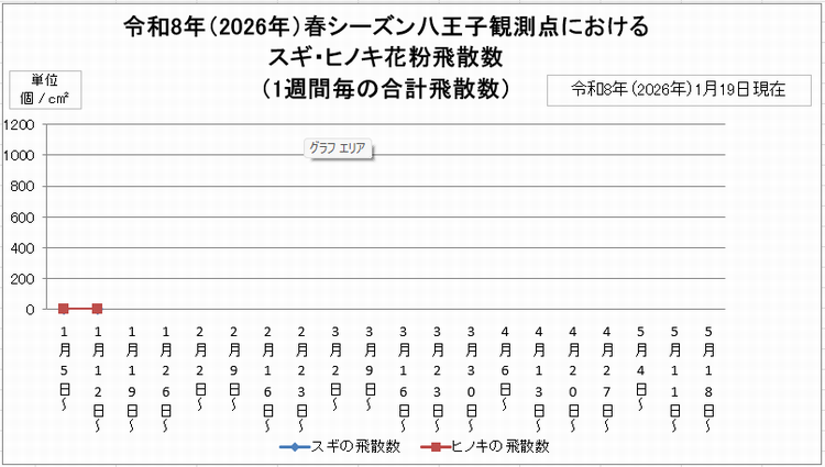 1月19日現在スギヒノキ