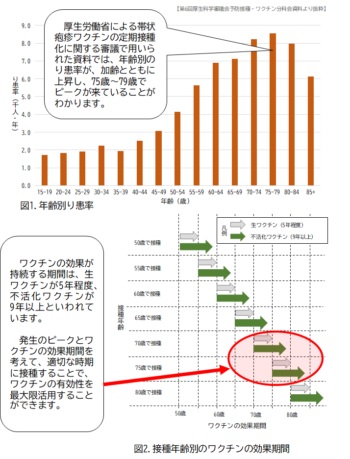 年齢別の罹患率とワクチンの効果期間