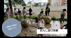 shimizu2