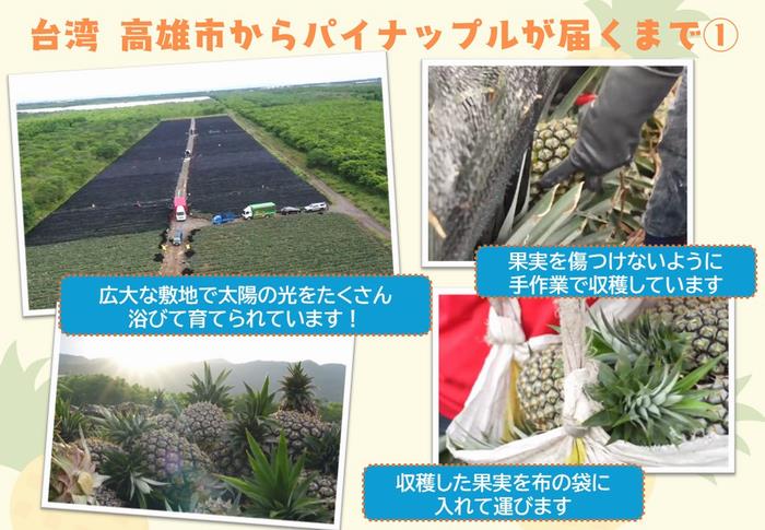 R7台湾3