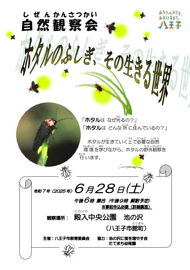 自然観察会　チラシ画像