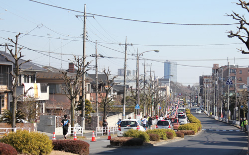 めじろ台の下り坂