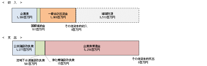 資本的収支