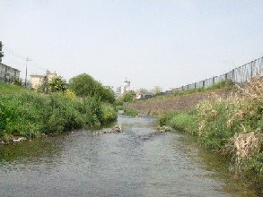 採水地点 城山川