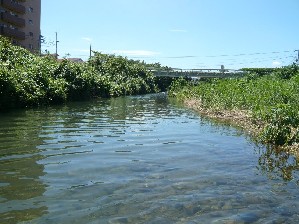 採水地点 南浅川