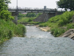 採水地点 川口川