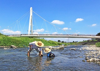 夏の思い出