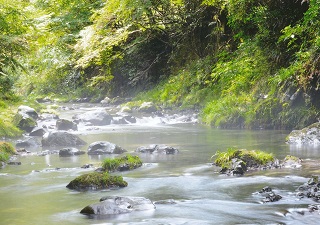 Flow of the river.