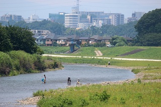 街を流れる浅川