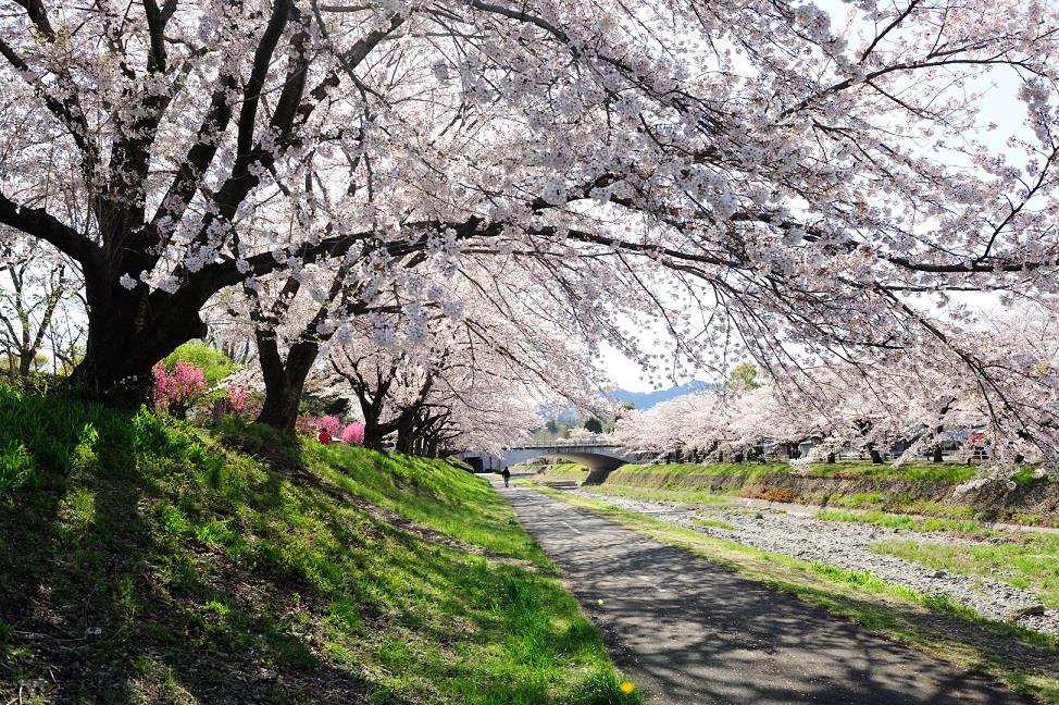 秋景に染めて　渡邉さん