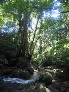 自然のなかで　増島さん