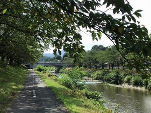 緑の向こう　髙島さん