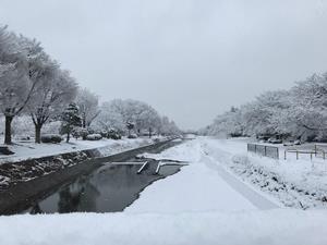 古道橋より「雪の南浅川」　萩原さん