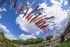 大空に舞う　渡邉さん