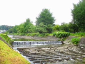 魚が見た川の景色