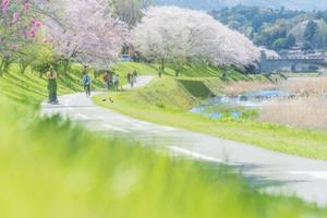 春光に輝いて