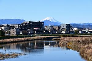 鏡のように光り輝く浅川