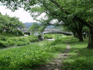 樹のトンネル散歩道