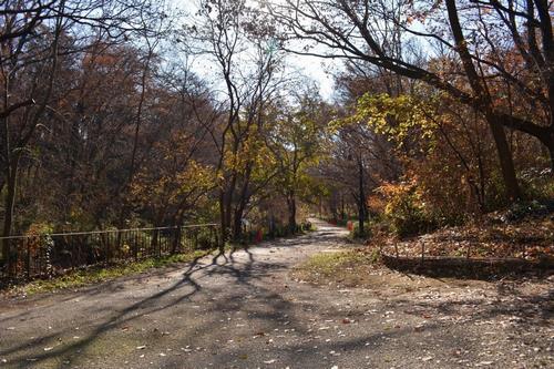 R7第1回雨庭づくり1