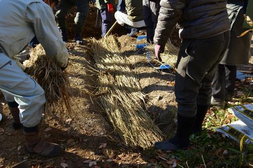R7第1回雨庭づくり6