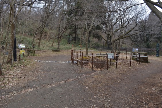 R7第2回雨庭づくり8