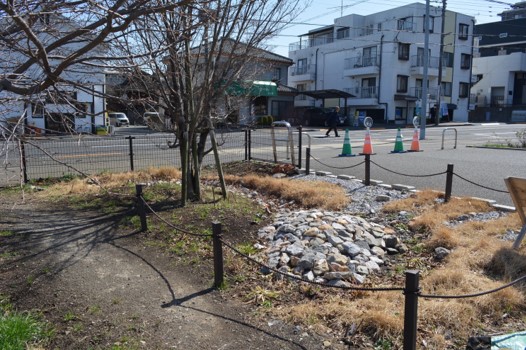 R7第2回雨庭植栽1