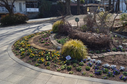 R7第2回雨庭植栽2