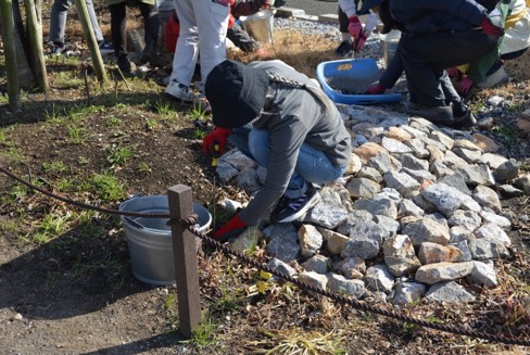 R7第2回雨庭植栽8