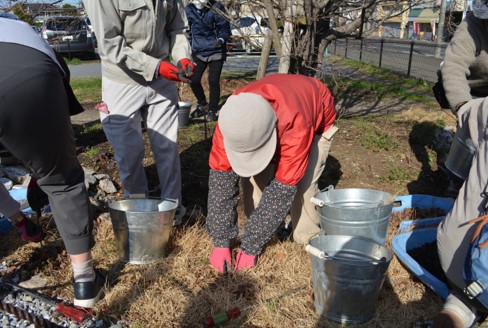 R7第2回雨庭植栽8