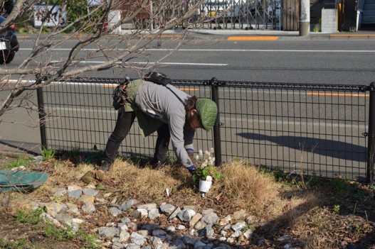 R7第2回雨庭植栽9