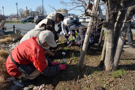 R7第2回雨庭植栽10
