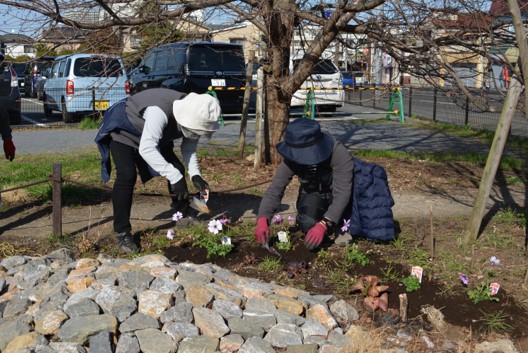 R7第2回雨庭植栽11