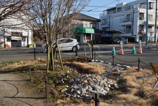 R7第2回雨庭植栽18