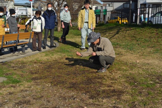 R7第2回雨庭植栽18
