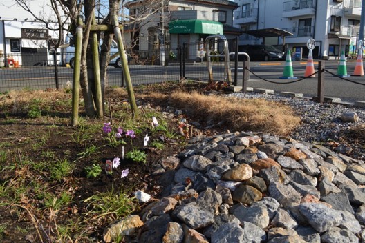 R7第2回雨庭植栽19