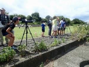 水辺のかんきょう教室